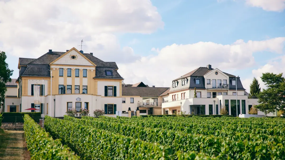 Weingut Spreitzer 