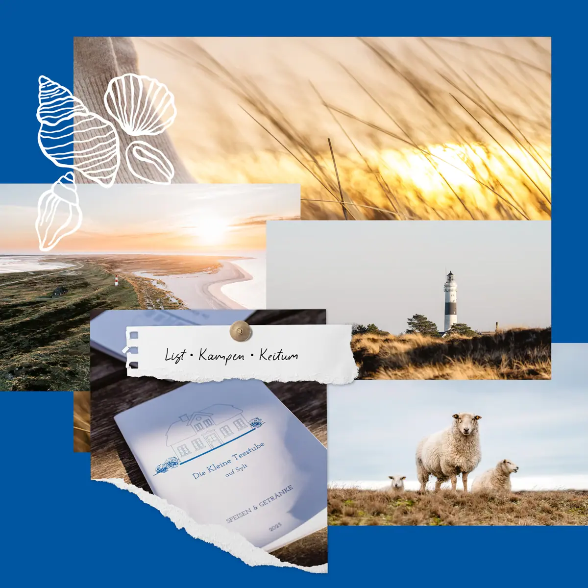 Sylt Sylt Geheimtipps Collage aus Fotos von Schafen und einem Leuchtturm auf Sylt.