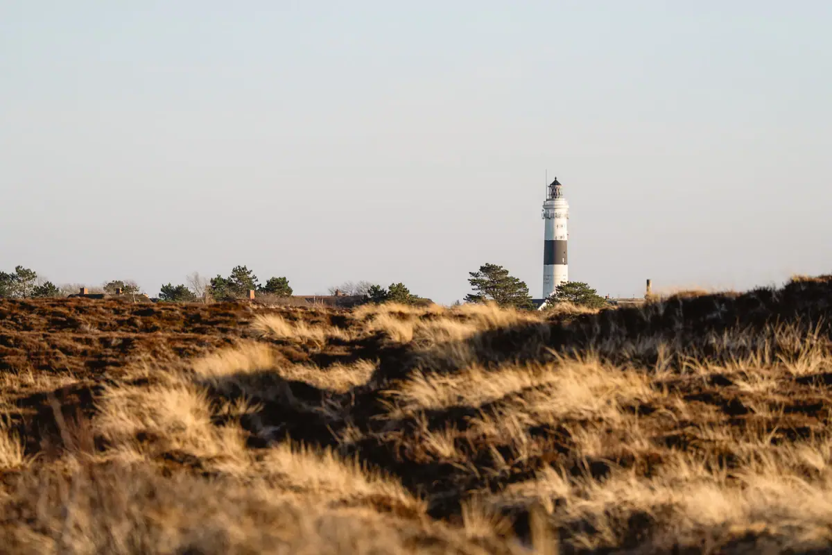 Kampener Dünen Sylt Kampener Dünen Sylt langer Christian Leuchtturm