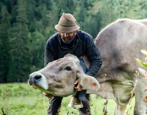 Alm Kleinwalsertal Bauer und Kuh auf der Alm