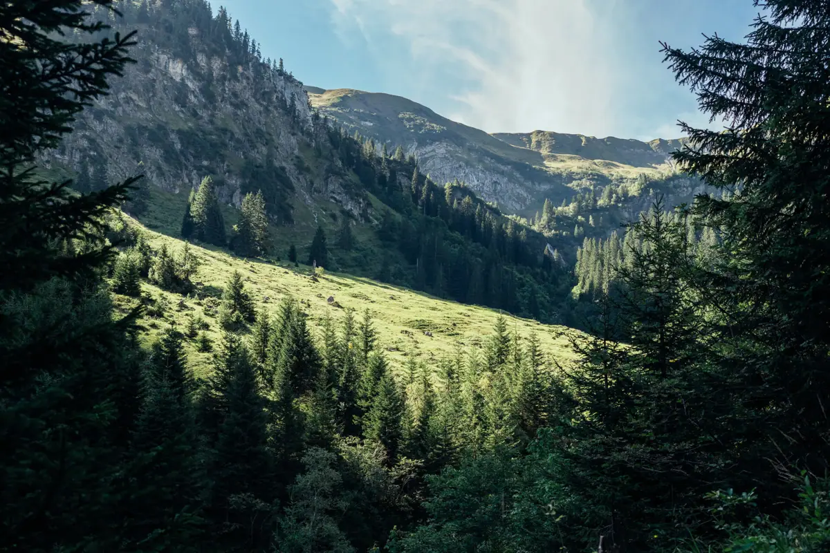Bärgunttal Grüne Hügel mit Bäumen und Bergen im Hintergrund.