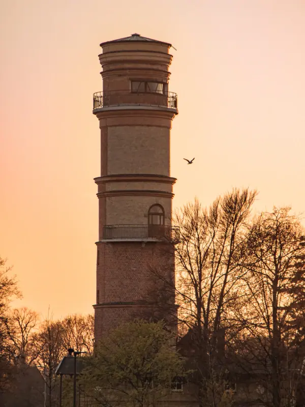 Alter Leuchtturm Travemünde Der Alte Leuchtturm in Travemünde bei Sonnenaufgang mit einer Möwe daneben.