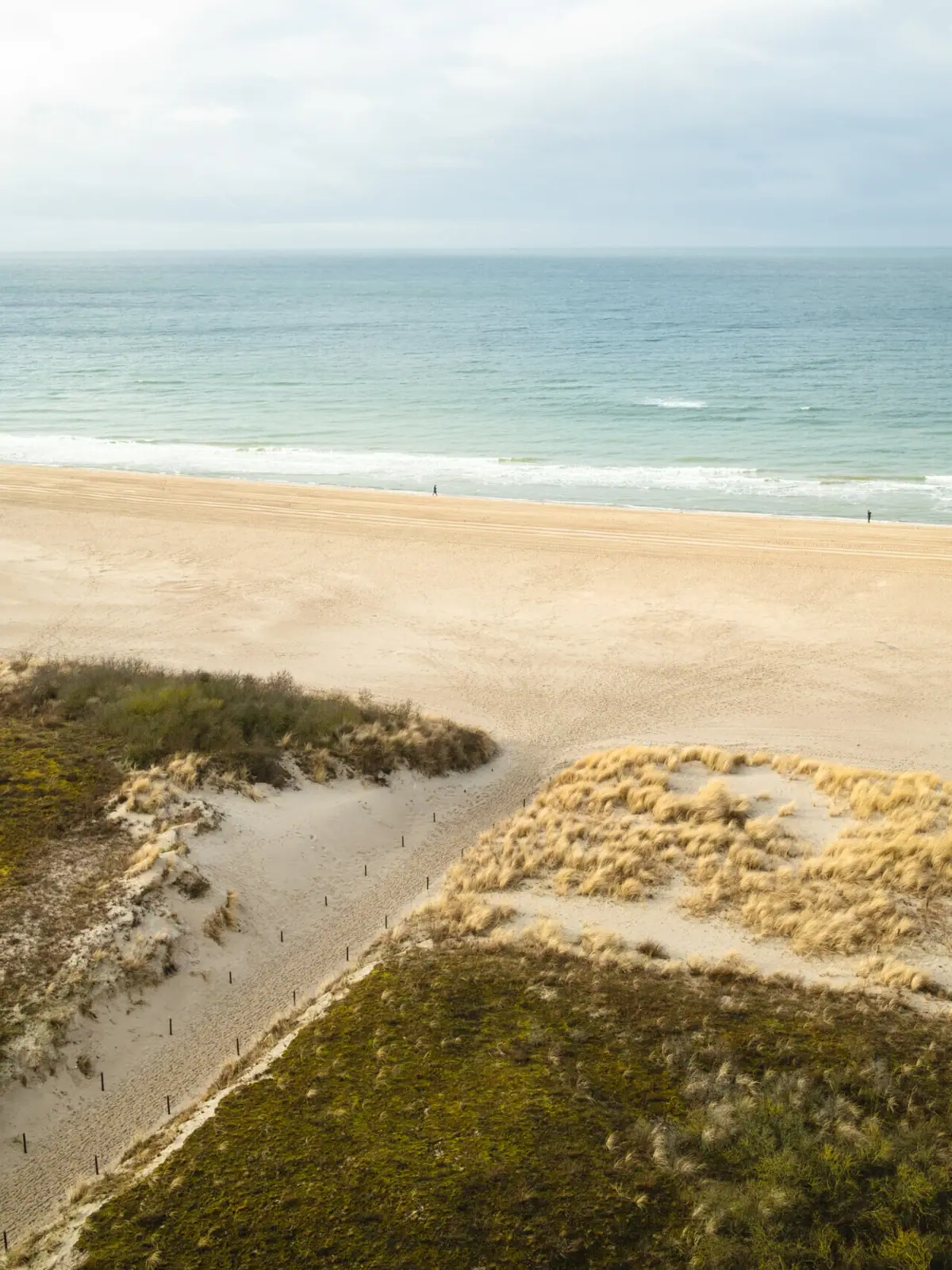 Warnemünde Ausblick Stand Blick auf den Strand von Warnemünde mit der Ostsee im Hintergrund und den Dünen im Vordergrund.