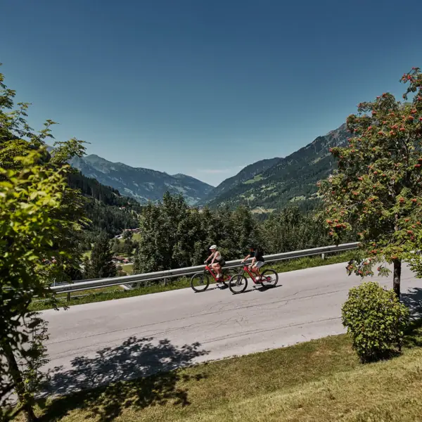 Fahrradtour in Bad Gastein Eine Gruppe von Menschen fährt mit Fahrrädern auf einer Straße.