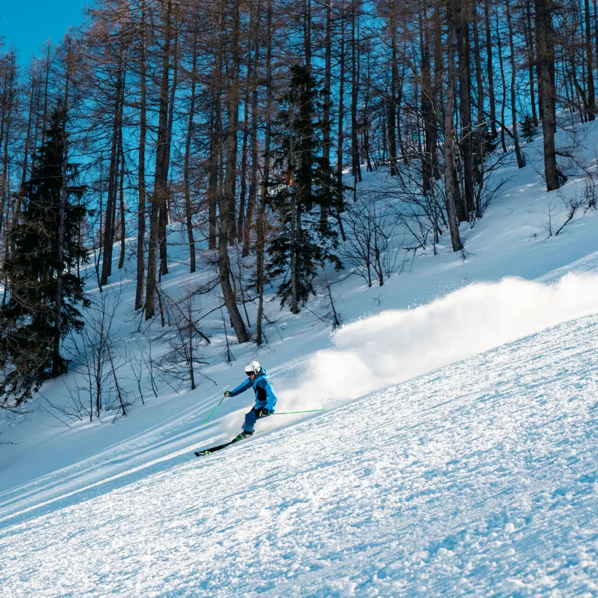 Skifahren im Chiemgau Eine Person fährt auf Skiern einen verschneiten Hang hinunter.