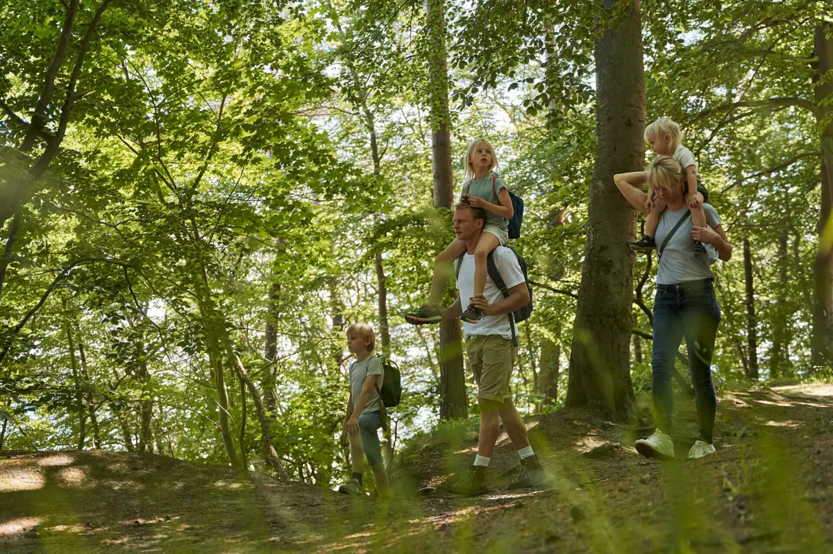 Eine Gruppe von Menschen beim Wandern im Wald.